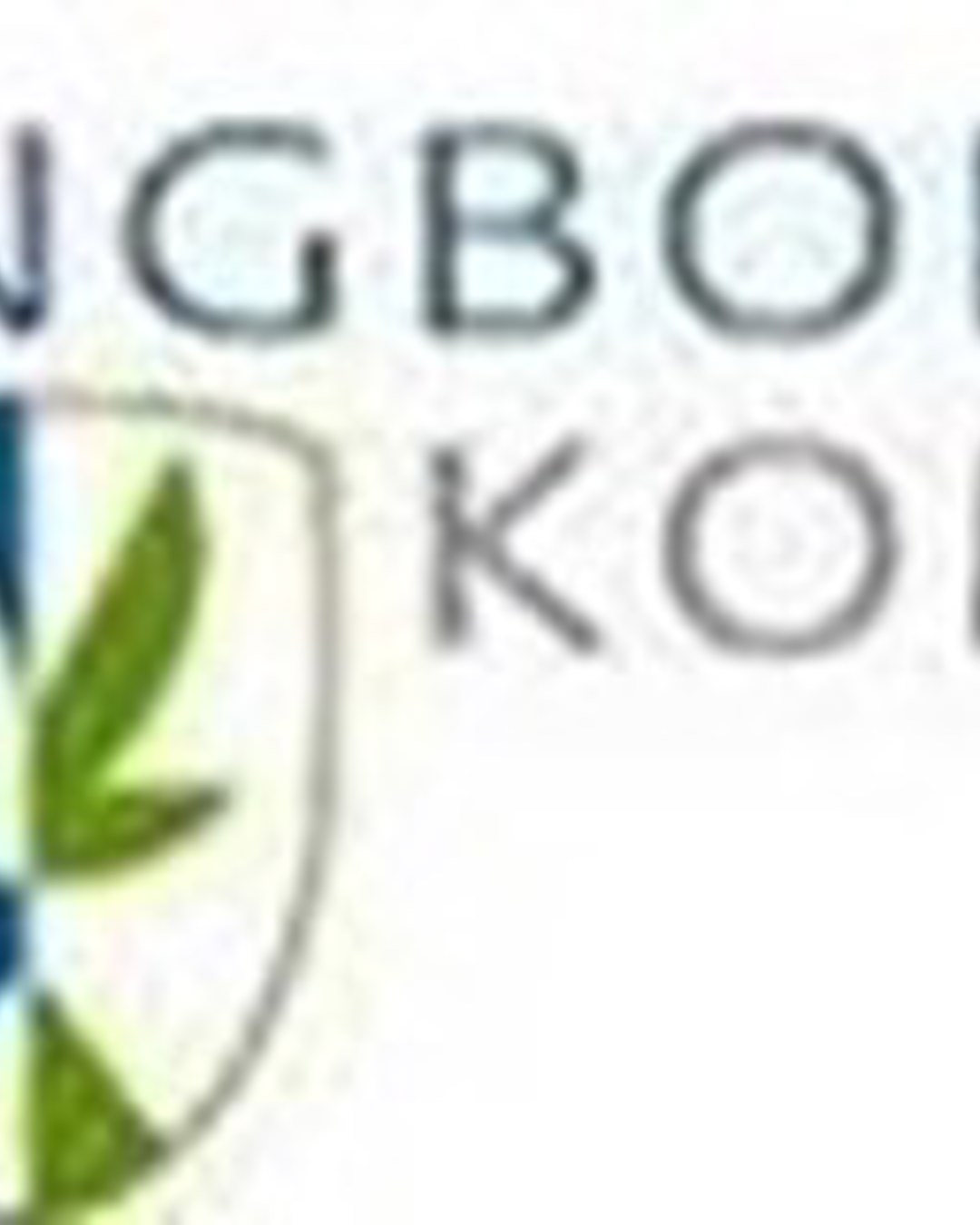 logo-vrdbg.jpg